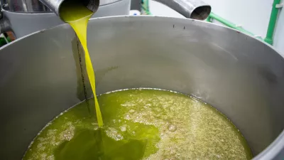 Ekstra devi&scaron;ko oljčno olje ima značilno barvo. Slika je simbolična.  / Foto: Istock