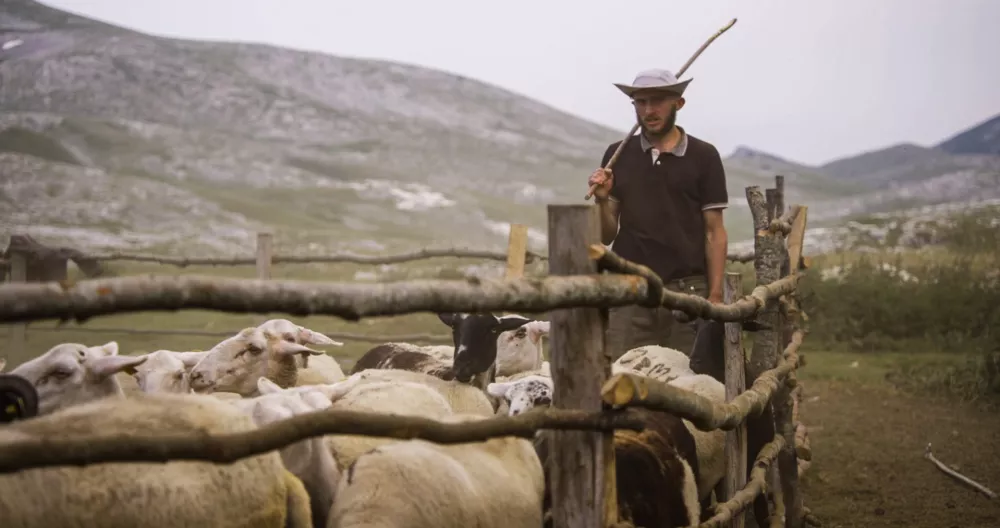 Festival gorni&scaron;kega filma