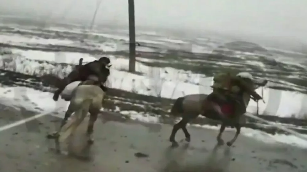 Zaradi pomanjkanja mehanizacije morajo Rusi v Ukrajini vse bolj računati na konje. 