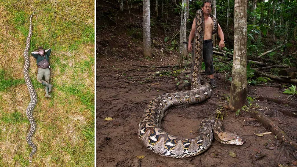 Foto: Guinessova knjiga rekordov