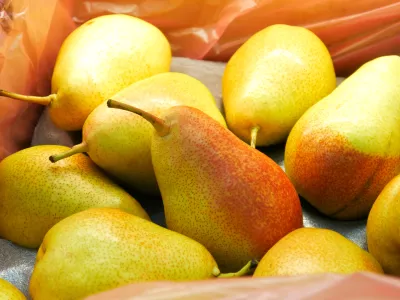 Many beautiful pears in a trading box close-up / Foto: Stockah