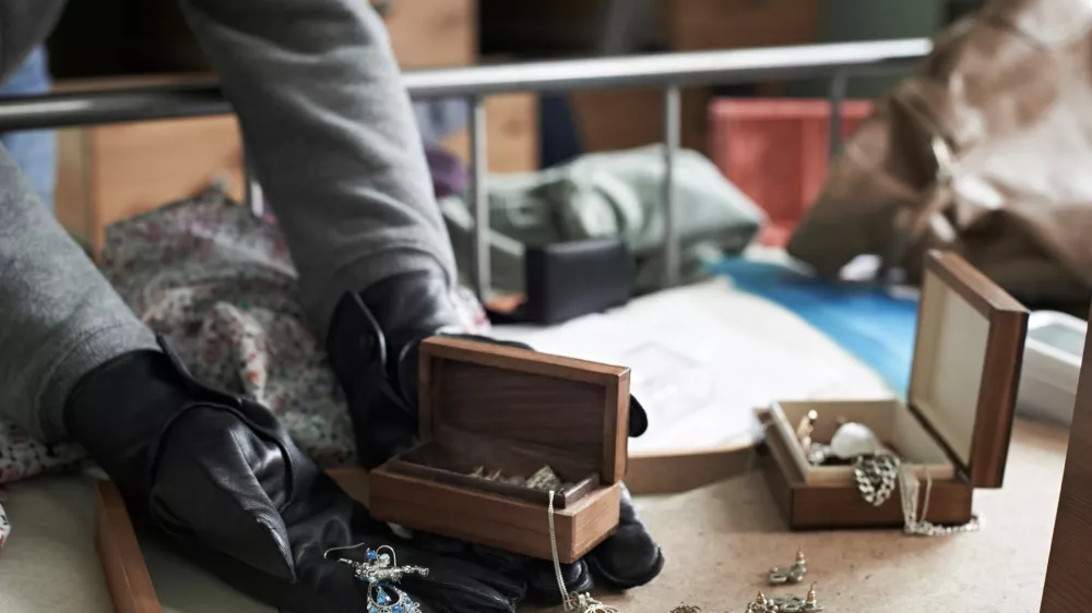 Radi imajo vse, kar se sveti. / Foto: iStock