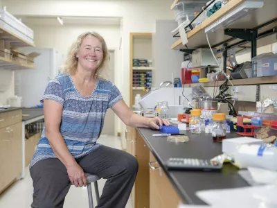 Carol Greider / Foto: Christopher Michel