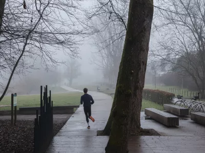 - 12.12.2025 - reportaža megla - Kose&scaron;ki bajer//FOTO: Jaka Gasar