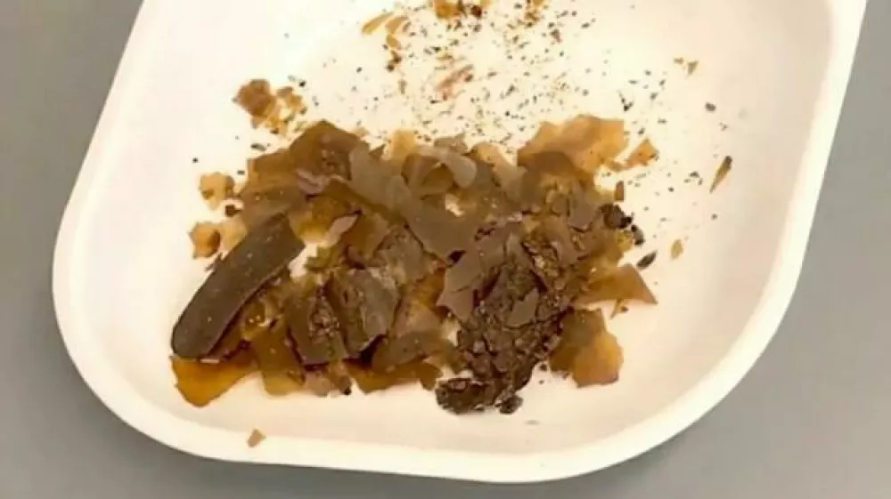 Vzorce blata so na&scaron;li v starih steklenih posodicah. Foto: