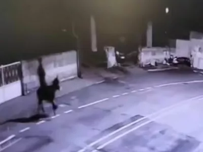 Po ropu zlatarne je osumljenec pobegnil na oslu. 