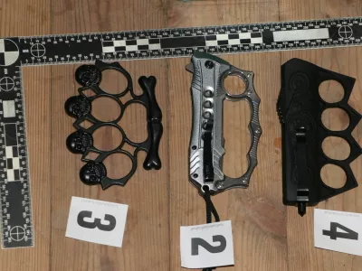 V hi&scaron;ni preiskavi so zasegli tri bokserje. 