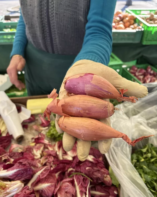 Tržnica, &scaron;alotka