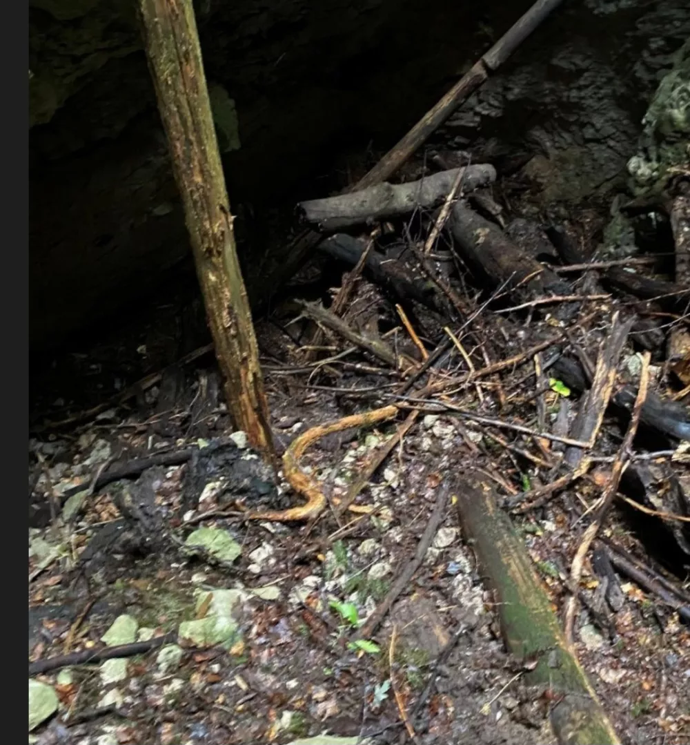 Vode pod Veliko planino &scaron;e vedno onesnažene