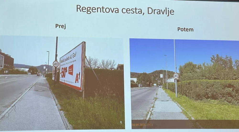 Z akcijo odstranjevanja plakatov bodo letos nadaljevali. F &Scaron;pela Ferlin