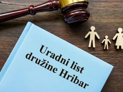 Ni tako enostavno &hellip; / Foto: Istock/google Gemini