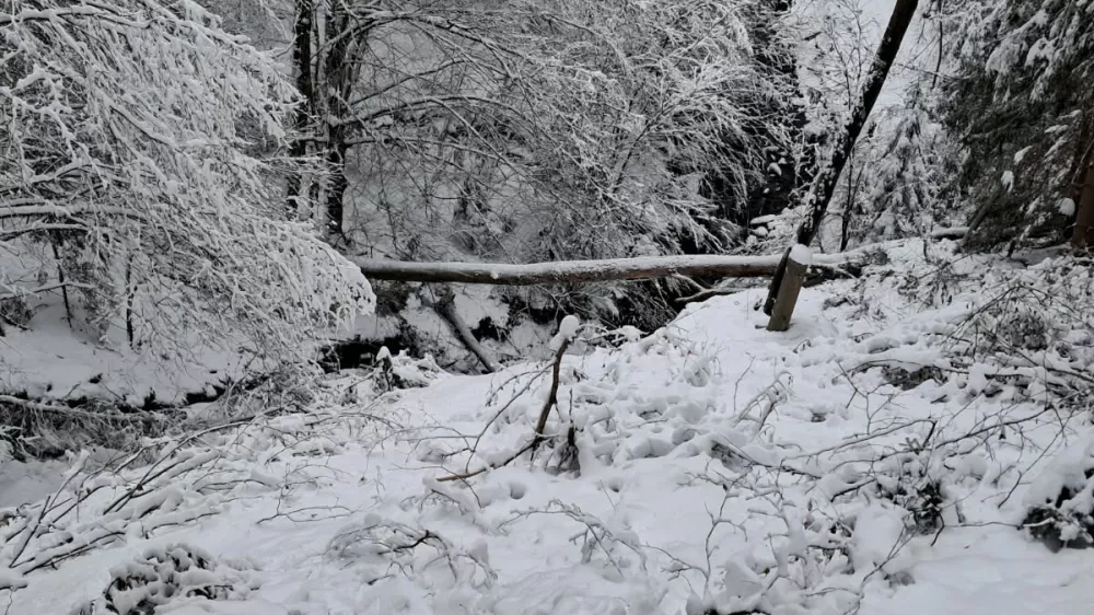 Maribor.Posledice sneznega neurja na Stajerskem.Foto: Elektro Maribor