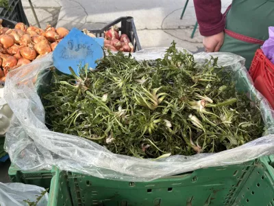 Na centralni tržnici imajo že prvi regrat. F Tamara Čalo&scaron;ević