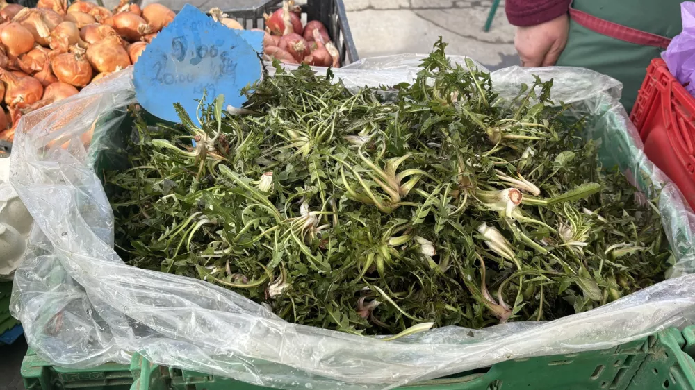 Na centralni tržnici imajo že prvi regrat. F Tamara Čalo&scaron;ević