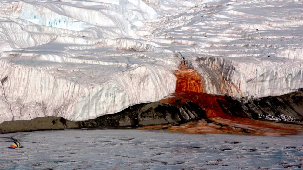 The Blood Falls seeps from the end of the Taylor Glacier into Lake Bonney. The tent at left provides a sense of scale for just how big the phenomenon is. Scientists believe a buried saltwater reservoir is partly responsible for the discoloration, which is a form of reduced iron.