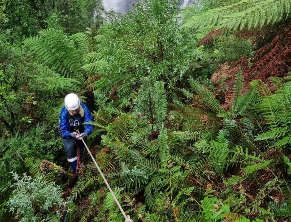Po njenem izginotju junija 2023 so pogre&scaron;ano Belgijko iskali več tednov. 