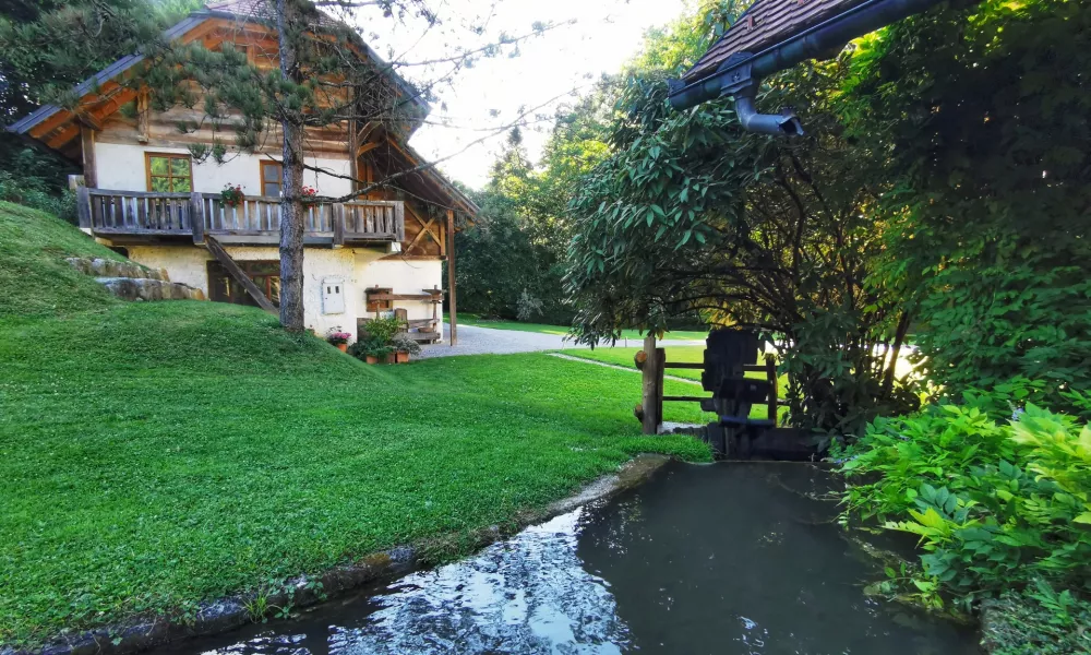 Potoček, ki teče skozi domačijo. / Foto: Miha First