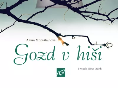Alena Morn&scaron;tajnov&aacute;Gozd v hi&scaron;i