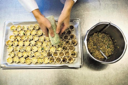 Študentje na kuharski šoli Rijn Ijssel  v Wageningenu pripravljajo tako imenovane pite Mealworm s kobilicami  in iz drugih...
