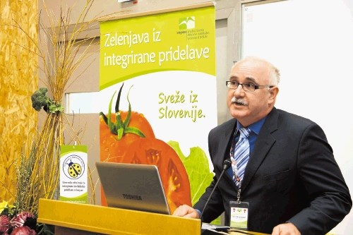 Nepovezanost pridelovalcev je ključni problem slovenskega zelenjadarstva