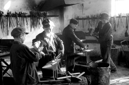 V kovaški  delavnici v Muti, ki se lahko pohvali z več kot  štiristoletno tradicijo, so se leta 1951 kovaške obrti učili...