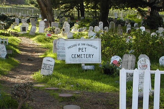 Po knjigi Stephena Kinga Pet Sematary je nastal film Mačje pokopališče.