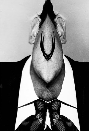 Nadrealist Dalí v interpretaciji nadrealista Weeegeeja ali fotomanipulacija, kateri se je posvečal v zadnjem obdobju svojega...