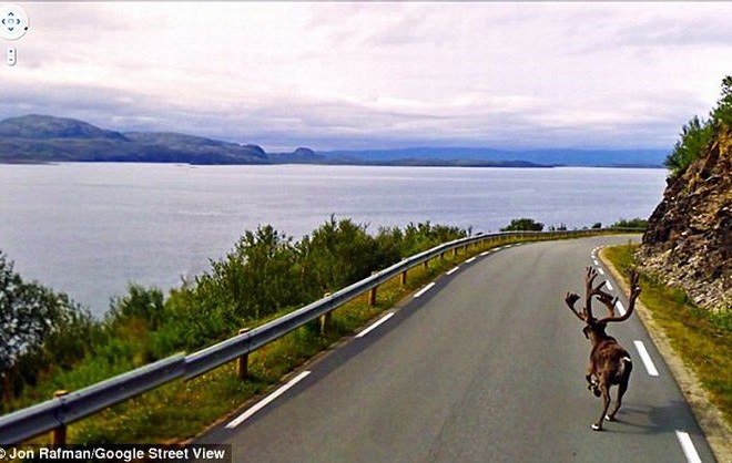 Foto: Najbolj bizarne fotografije, ki so nastale ob ustvarjanju Googlovega Street Viewa