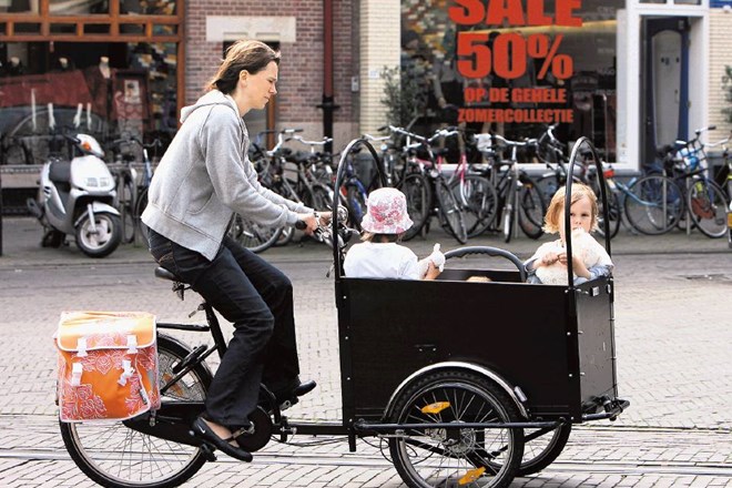 Tovorna kolesa niso priročna zgolj za prevoz nakupovalnih vrečk in drugega lažjega tovora. V njih lahko starši svoje malčke...