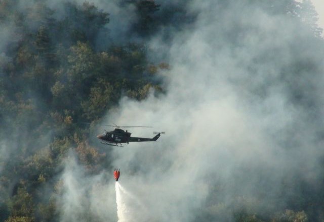 Foto: Primorsko Sveto Goro je zajel požar, gasilci se še borijo z ognjenimi zublji