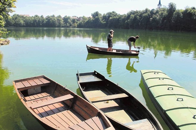 Redki čolni, redke ptice, ribe, narava, mir – aduti jezera blizu Kranja in Ljubljane.
