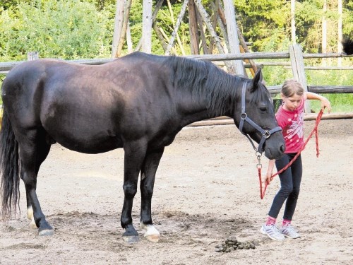 Otroci šepetajo konjem