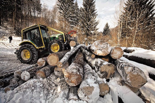 Po besedah Jožeta Praha iz Zavoda za gozdove imamo v Sloveniji kakovostne gozdove. Največja težava, ki se danes kaže, je...