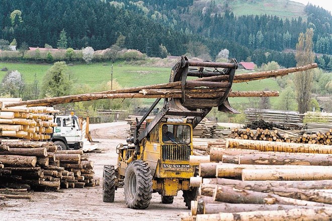 Dvig lesne industrije mora zagotoviti država z umno zakonodajo in vložki. Lahko tudi bolj aktivira javno gozdarsko službo in...