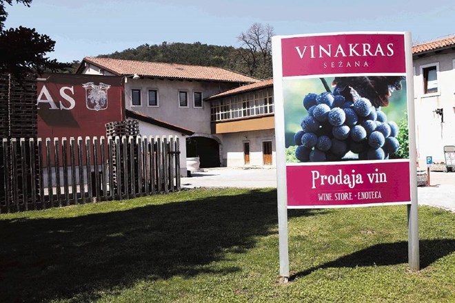 »Kraški vinogradniki pričakujemo, da članice EU upoštevajo pravni red. V zakonodaji lepo piše, da je teran, ki je pridelan na...
