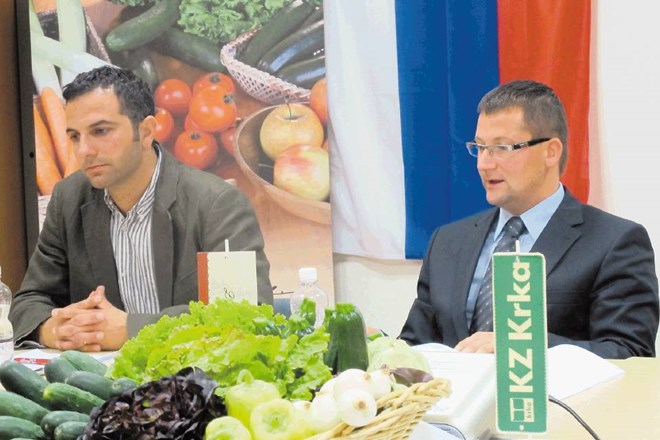 Klemen Kirn napoveduje, da bo KZ Krka v štirih do petih letih trgu ponudila že 7000 ton domače zelenjave. Trenutno je kmetje,...