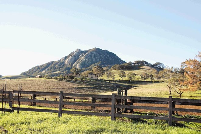 Severno od Los Angelesa je gričevnata pokrajina primerna za rejo goveda. 