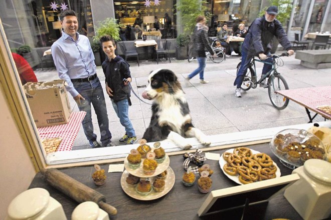 Butična prodajalna Pasja pekarna Hov-Hov je v petek, na svetovni dan živali, za Mariborom odprla svoja vrata  še v Nazorjevi...