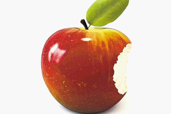 Praznik jabolka na Kozjanskem