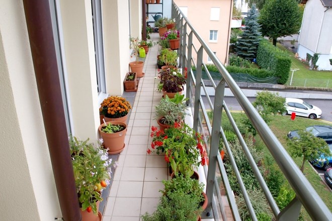Kaj vse je treba upoštevati, ko načrtujete balkonski vrt   