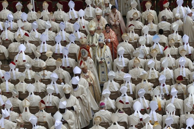 Kanonizacijo papežev v živo spremljali številni Slovenci, tudi poslanec Peterle (foto)