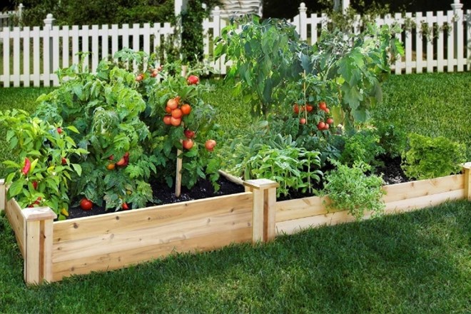 Za manj sklanjanja in čepenja: letos si uredite dvignjeni vrt   