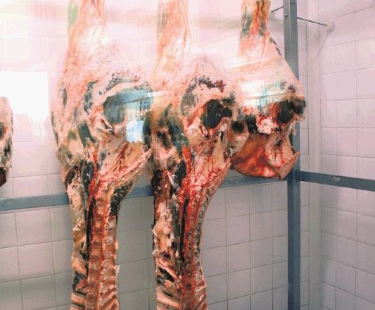 Komora za zorenje govejega mesa v mesnici Daria Cecchinija. Meso pred pripravo v komori zori do 35 dni. 