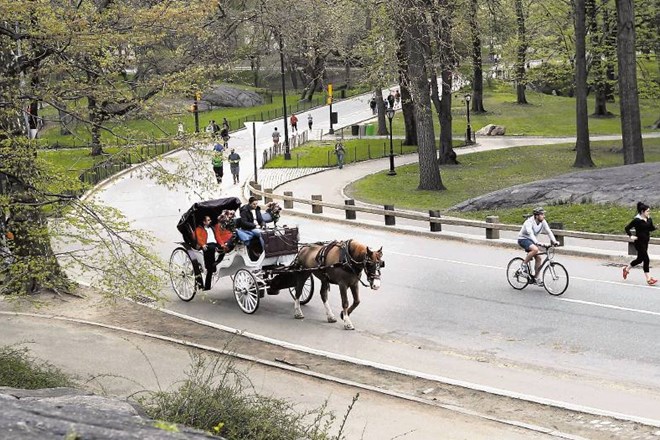 Newyorški Centralni park – kam z njegovim dobičkom? AP 