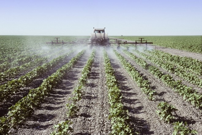 Slovenska hrana vsebuje manj ostankov pesticidov kot tuja  