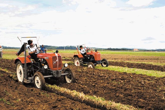 Pri oranju s traktorji starodobniki so še veliko bolj kot pri novejših traktorjih pomembne izkušnje in dobra tehnika orača,...