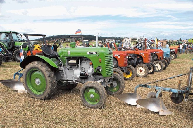 Na četrtem tekmovanju v oranju s traktorji starodobniki v Dornavi so lastniki svoje lepotce že dopoldne razstavili na...