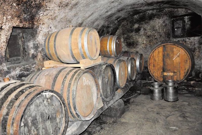 Sodi, v katerih zorijo vinski destilati vinarja Matjaža Lemuta. Prvi vinjak je pridelal leta 1998. 