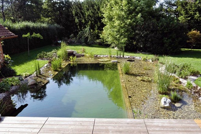 Domači ribnik daje vrtnemu okolju prav poseben čar