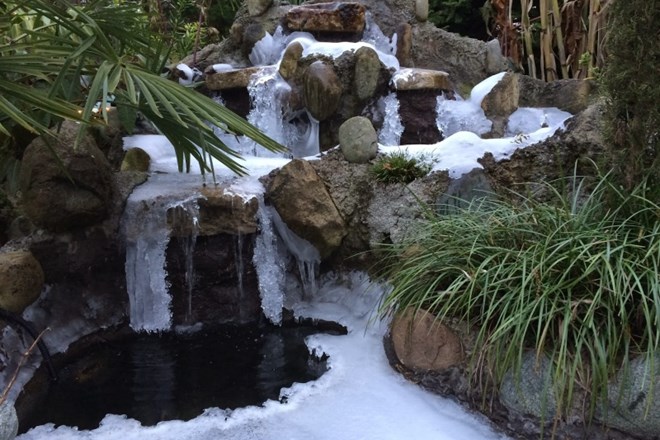 Zaščitite vrtne ribnike, fontane in okrasne elemente pred zimsko zmrzaljo  